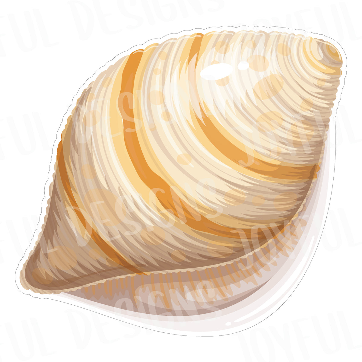 *SINGLE* Sea Snail Shell