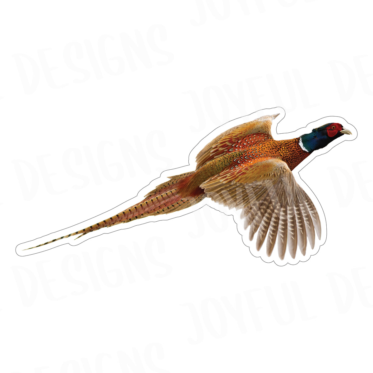 *SINGLE* Flying Pheasant