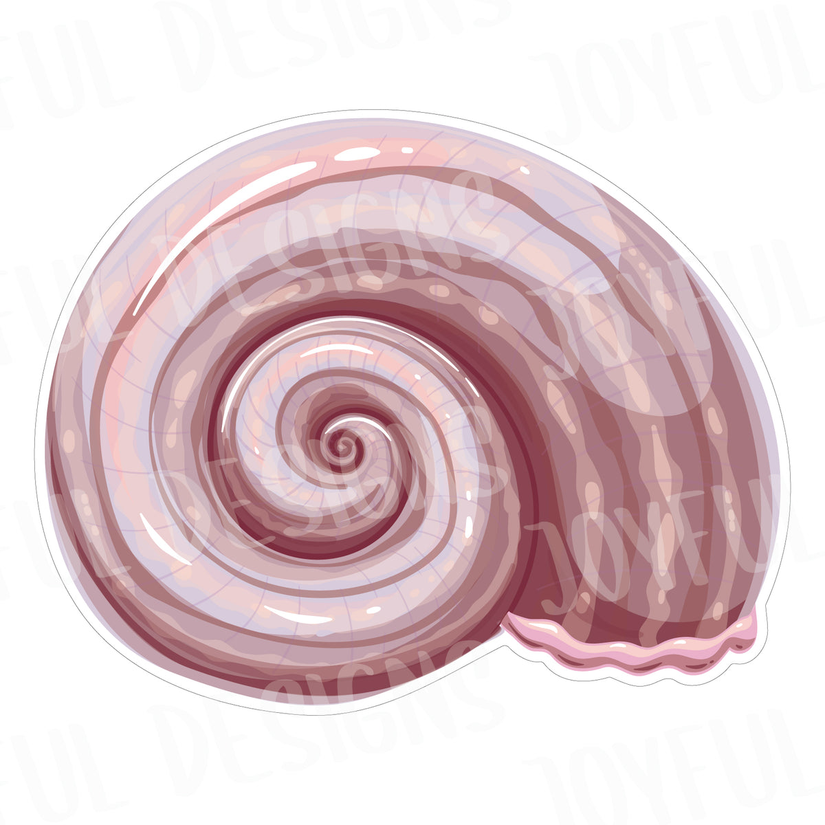 *SINGLE* Spiral Shell 2